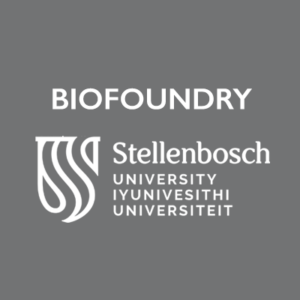 st model biofoundry