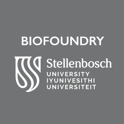 st model biofoundry