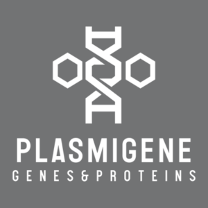 st model plasma