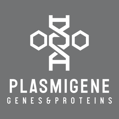st model plasma