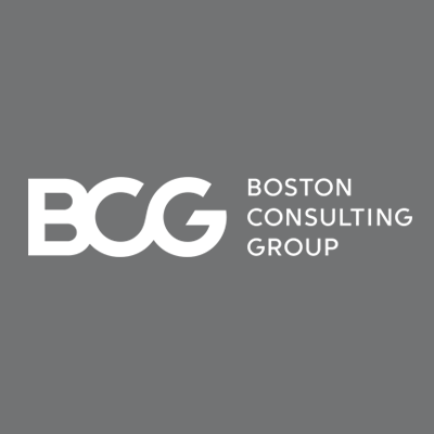 vcs model bcg