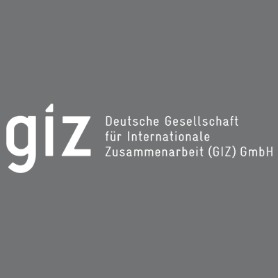vcs model giz