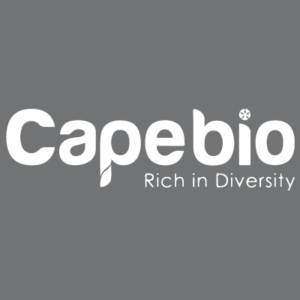 st model capebio